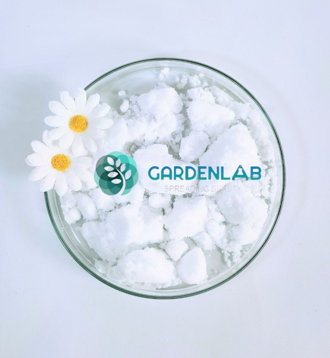 GLYCOLIC ACID